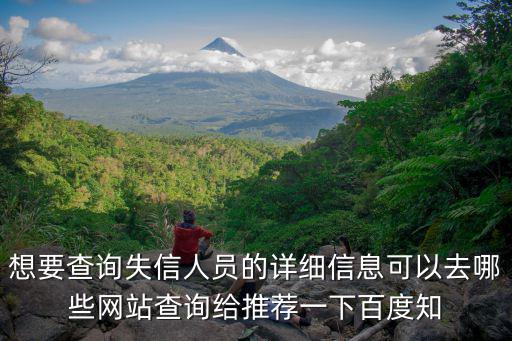 想要查詢失信人員的詳細(xì)信息可以去哪些網(wǎng)站查詢給推薦一下百度知