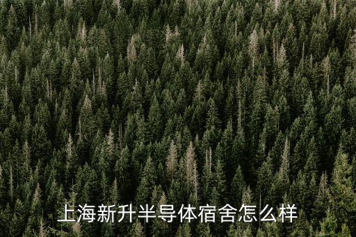 新升，上海新升半導體宿舍怎么樣
