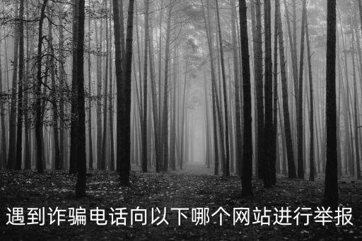 網絡詐騙舉報官網，遇到詐騙電話向以下哪個網站進行舉報