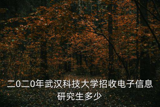 二0二0年武漢科技大學招收電子信息研究生多少