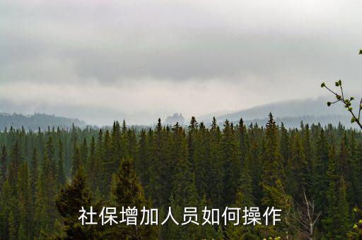 社保增加人員如何操作