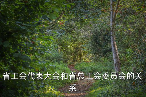 省工會代表大會和省總工會委員會的關系