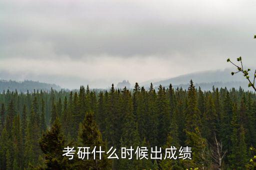 考研成績出來了嗎，考研成績什么時候出來一般2021