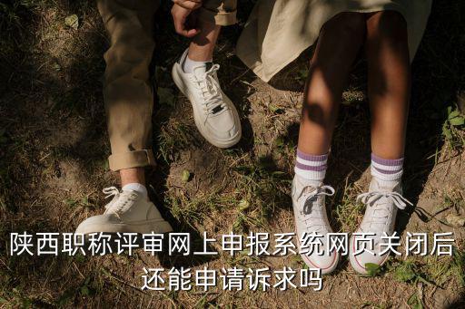 職稱評定網上申報系統，河北省2022年高級職稱評審通過什么系統上報