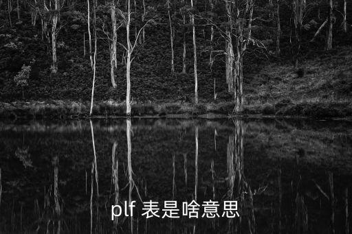 plf 表是啥意思