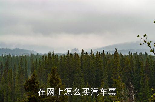 汽車網(wǎng)上購(gòu)票，汽車票怎么網(wǎng)上訂票