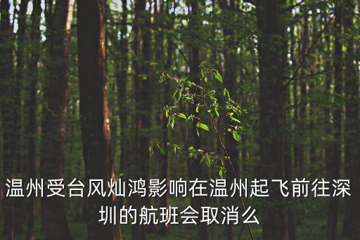 溫州受臺風燦鴻影響在溫州起飛前往深圳的航班會取消么