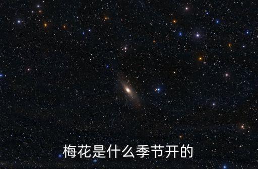 梅花是什么季節(jié)開的