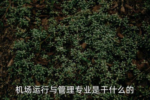 機場運行與管理專業是干什么的