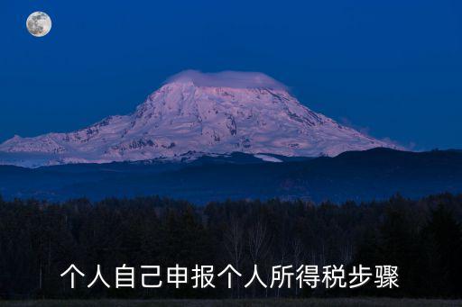 個人自己申報個人所得稅步驟