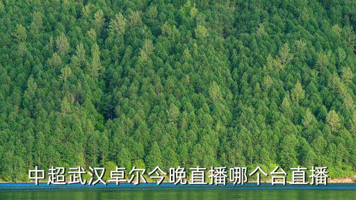 中超武漢卓爾今晚直播哪個(gè)臺(tái)直播