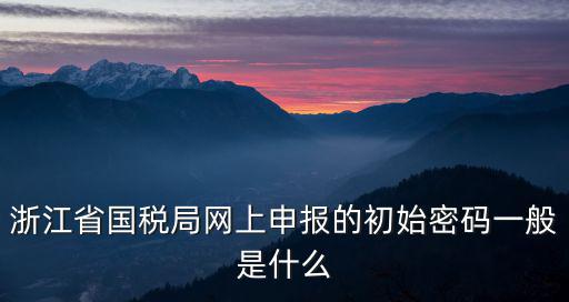 浙江省國稅局網上申報的初始密碼一般是什么