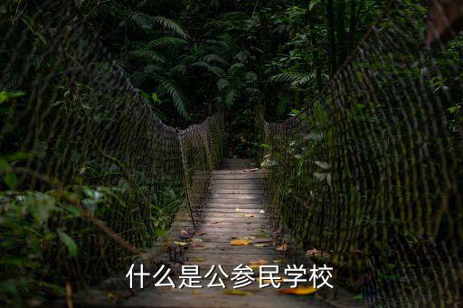 什么是公參民學校