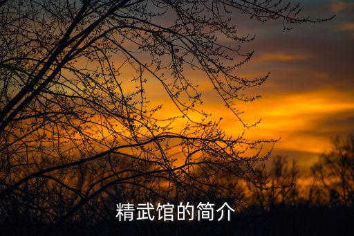 精武館，天津精武館教鬼步舞學校嗎