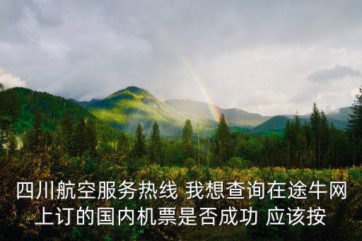 四川航空服務(wù)熱線 我想查詢?cè)谕九＞W(wǎng)上訂的國(guó)內(nèi)機(jī)票是否成功 應(yīng)該按