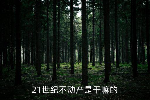 21世紀不動產(chǎn)是干嘛的