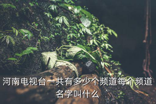 河南電視臺一共有多少個頻道每個頻道名字叫什么