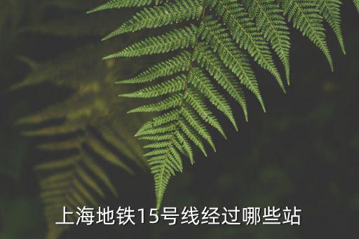 上海地鐵15號(hào)線經(jīng)過哪些站
