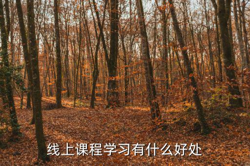 線上課程學習有什么好處