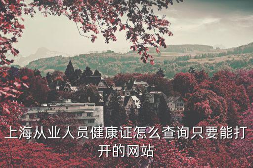 上海從業人員健康證怎么查詢只要能打開的網站