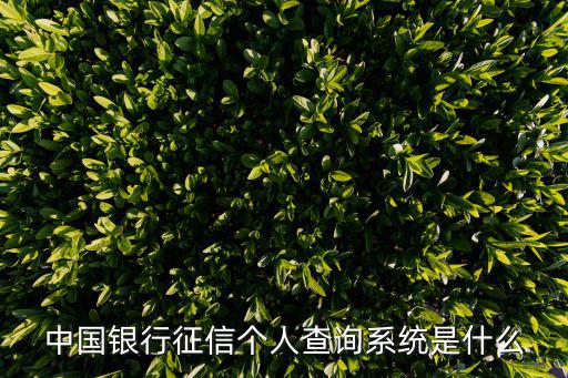 個人證件查詢系統，個人證書查詢網入口