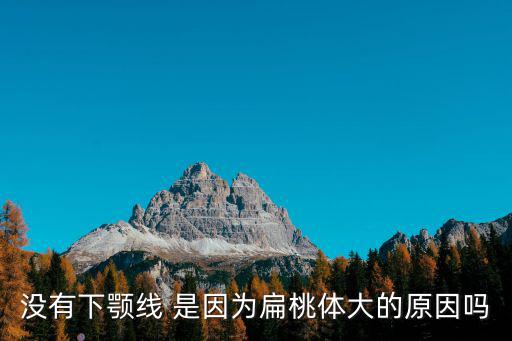 沒有下顎線 是因?yàn)楸馓殷w大的原因嗎