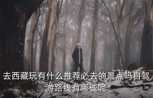 去西藏玩有什么推薦必去的景點嗎自駕游路線有哪些呢