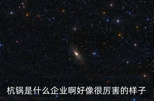 杭鍋是什么企業啊好像很厲害的樣子