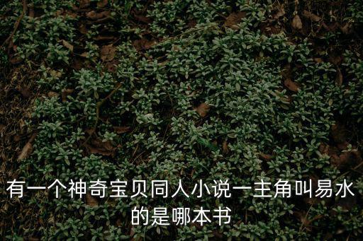 有一個神奇寶貝同人小說一主角叫易水的是哪本書