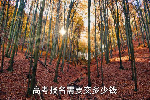 高考報名需要交多少錢
