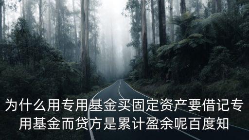 專用基金，什么是專用基金