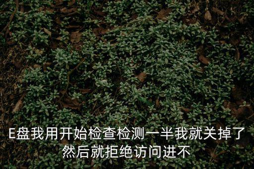 三角洲島不要去了，E盤我用開始檢查檢測一半我就關(guān)掉了然后就拒絕訪問進(jìn)不