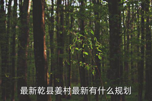 最新乾縣姜村最新有什么規(guī)劃