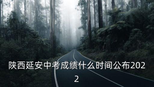 陜西延安中考成績什么時間公布2022