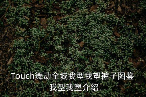 Touch舞動(dòng)全城我型我塑褲子圖鑒 我型我塑介紹