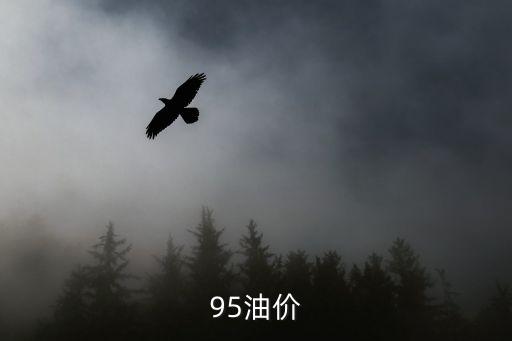 95油價格，汽油95多少錢一升