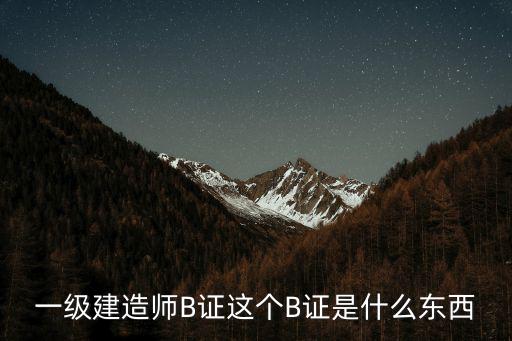 一級(jí)建造師B證這個(gè)B證是什么東西