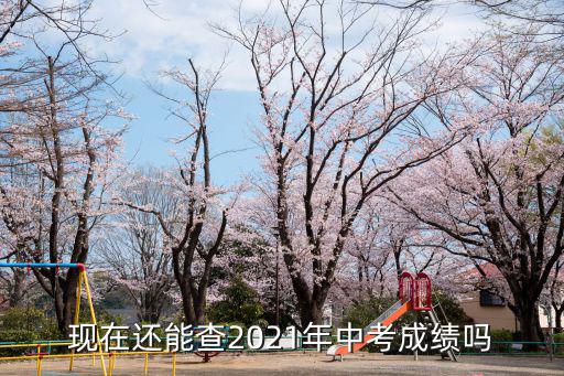 現(xiàn)在還能查2021年中考成績嗎