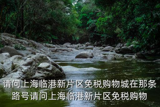 購物城，請問上海臨港新片區免稅購物城在那條路號請問上海臨港新片區免稅購物