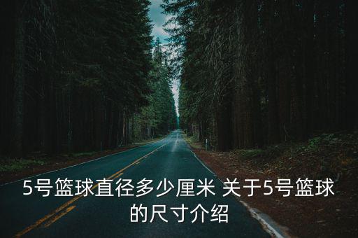 5號籃球直徑多少厘米 關于5號籃球的尺寸介紹
