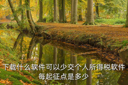 個人所得稅app下載官網，金稅三期個人所得稅扣繳系統介質是什么意思