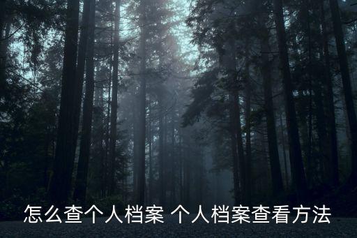 怎么查個人檔案 個人檔案查看方法