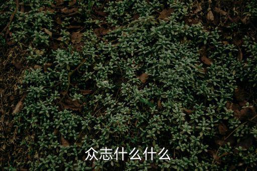 眾志什么什么