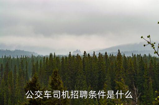 公交車司機招聘條件是什么