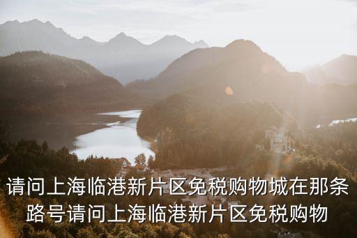 請問上海臨港新片區(qū)免稅購物城在那條路號請問上海臨港新片區(qū)免稅購物