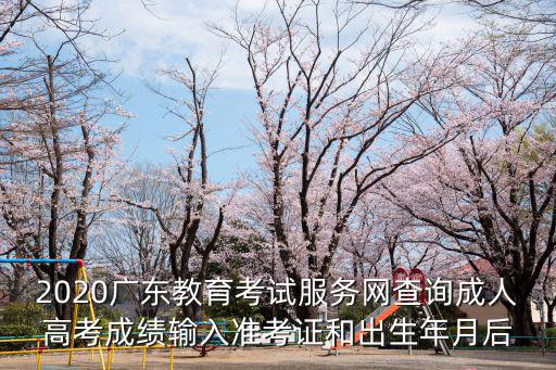 2020廣東教育考試服務(wù)網(wǎng)查詢成人高考成績輸入準考證和出生年月后