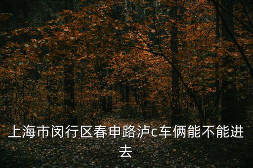 上海市閔行區春申路瀘c車倆能不能進去