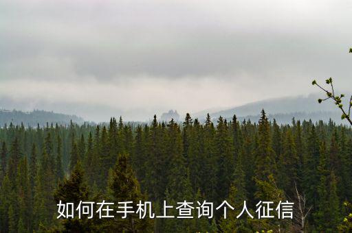 如何在手機上查詢個人征信