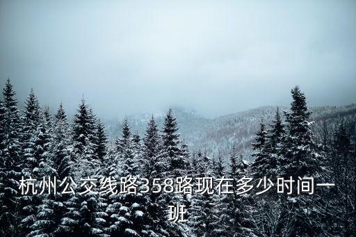 杭州公交線路358路現在多少時間一班
