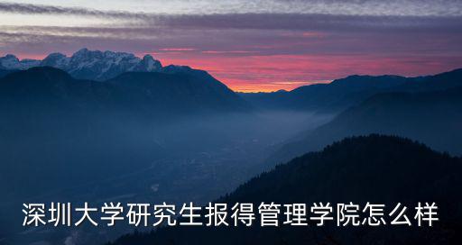 深圳大學(xué)研究生報(bào)得管理學(xué)院怎么樣